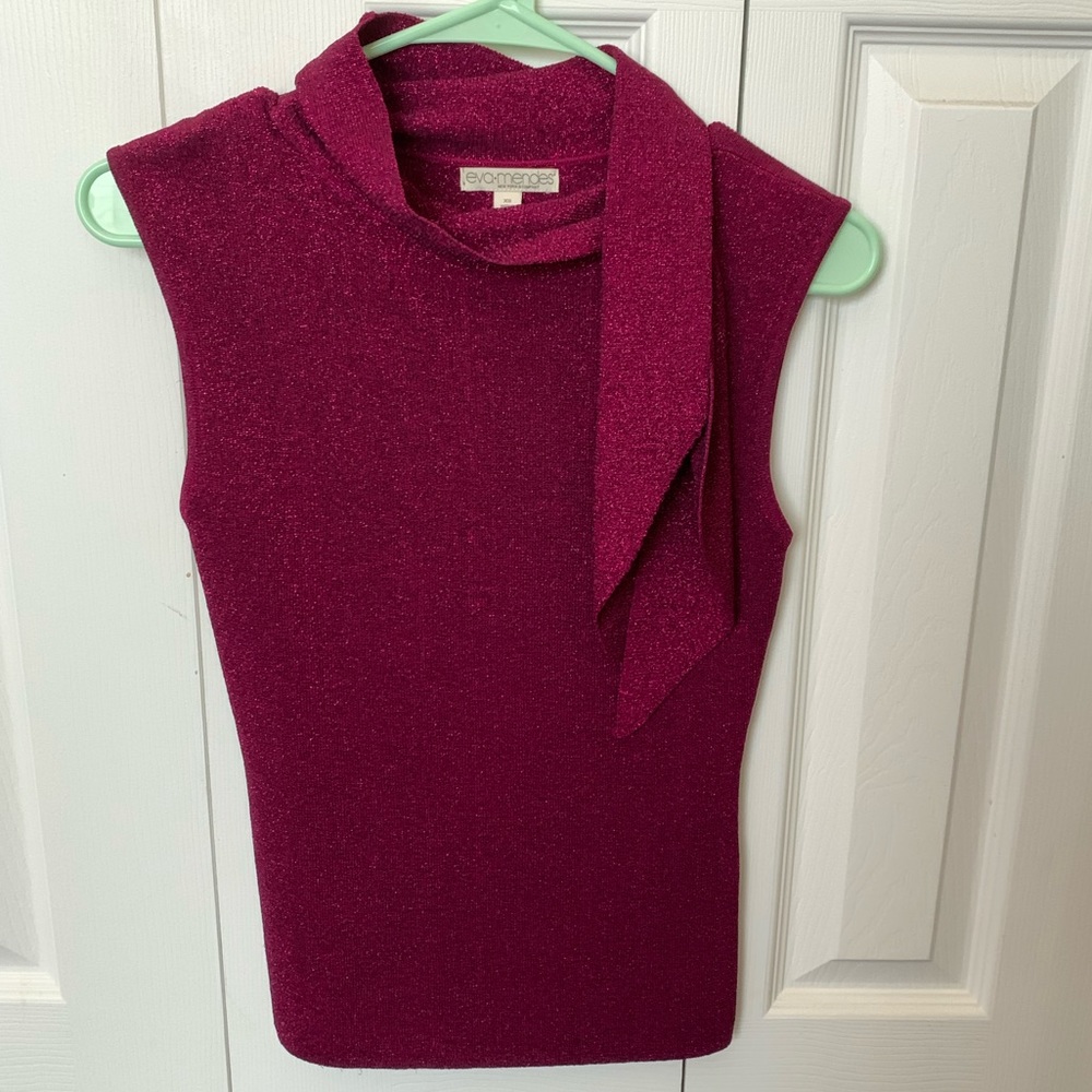 Sparkly material top